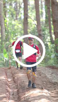 BIB:  <button type="button" onclick="openModal(26569588)" class="btn btn-primary btn-sm float-right" data-toggle="modal" data-target=".modal-high-quality">
                <i class="fa fa-download"></i> Download
                </button>